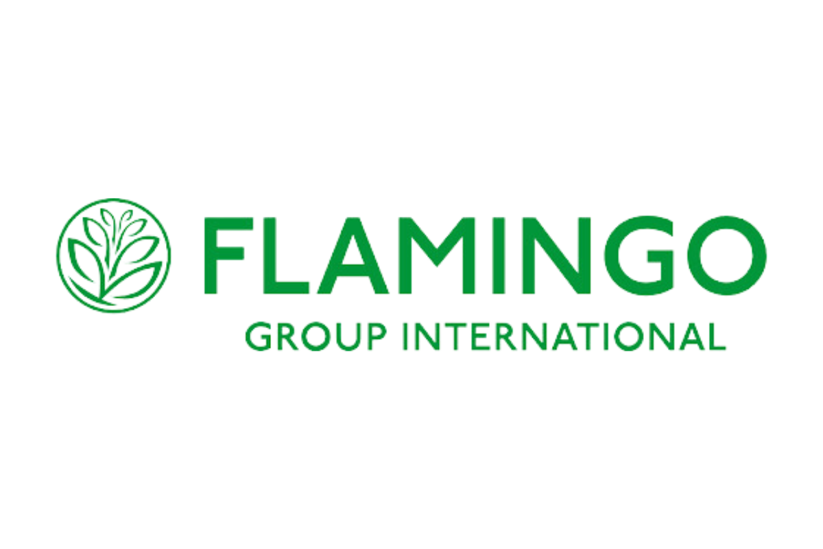 Flamingo Flowers logo